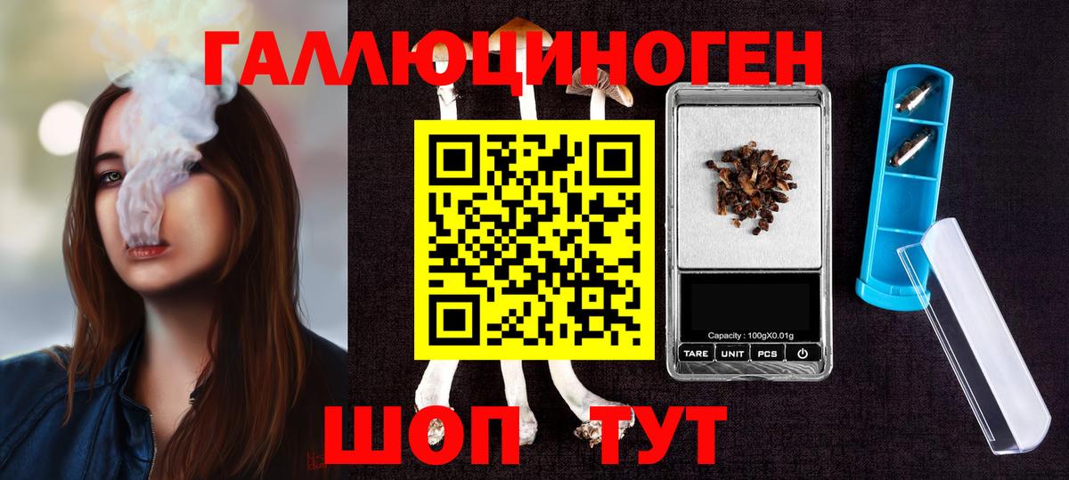 Галлюциногенные грибы Psilocybine cubensis  Вход с VPN  Галлюциногенные грибы мухоморы  Амурск 